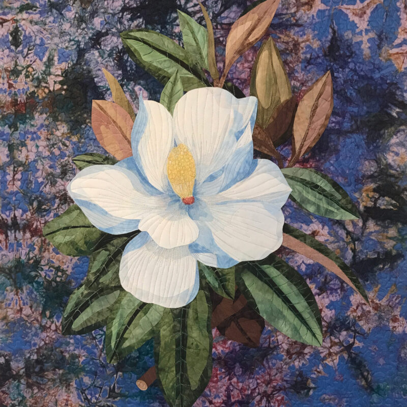 Magnolia